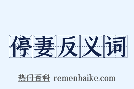 停妻反义词是什么意思的图片